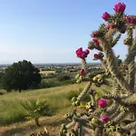 Dell' Artista - Anna SantʼArcangelo di Romagna