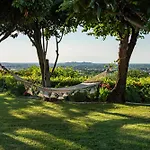 Bed & Breakfast Dell' Artista - Anna Santarcangelo di Romagna