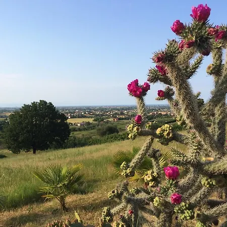 Dell' Artista - Anna Сантарканджело-ди-Романья