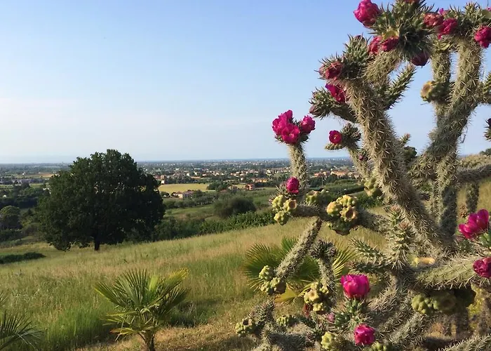 Dell' Artista - Anna SantʼArcangelo di Romagna